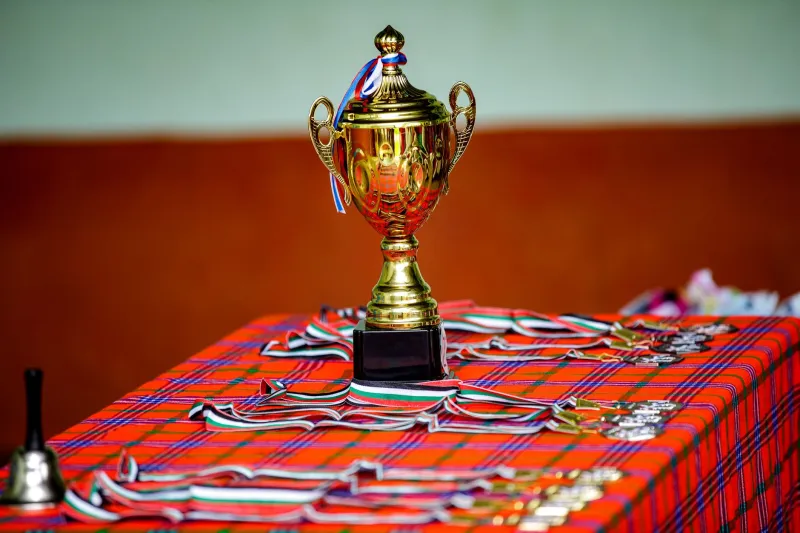 You Came in Last and Now It's Art: The Adults Buying Back Their Bronze-Place Ribbon Era