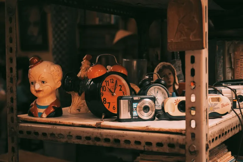 Your Decor Is Staring at You and It Has Opinions
