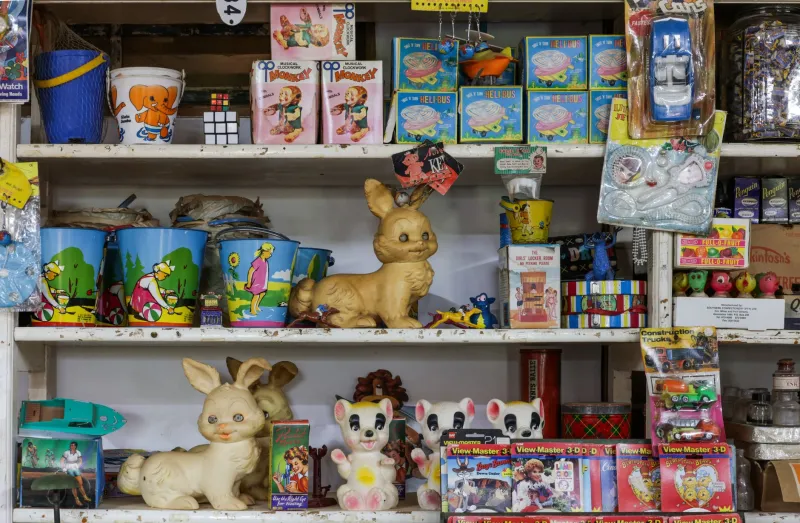 Garbage Gold: The Obsessive Collectors Who Worship the Media Our Parents Tried to Bury